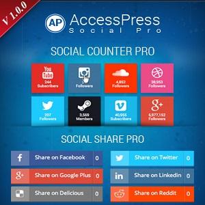 AccessPress Social-6